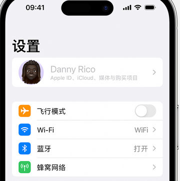 两当appleID维修服务iPhone设置中Apple ID显示为灰色无法使用 