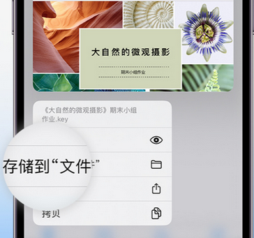 两当apple维修中心分享iPhone文件应用中存储和找到下载文件