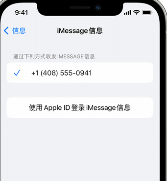 两当apple维修iPhone上无法正常发送iMessage信息 