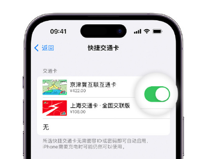 两当apple维修点分享iPhone上更换Apple Pay快捷交通卡手绘卡面 