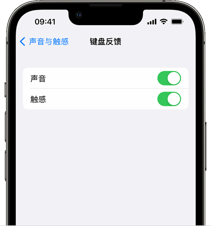 两当苹果14维修店分享如何在 iPhone 14 机型中使用触感键盘 