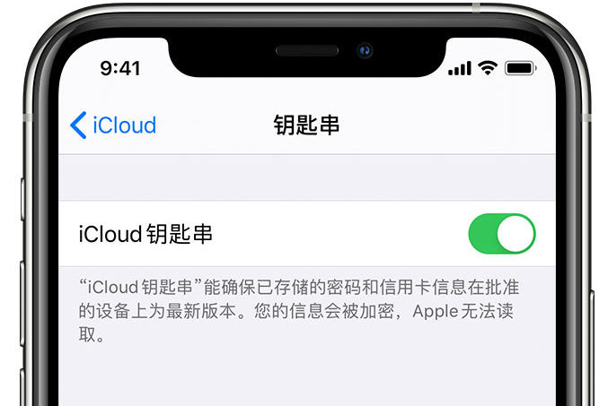 两当苹果手机维修分享在 iPhone 上开启 iCloud 钥匙串之后会储存哪些信息 