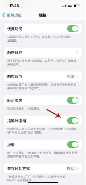 两当苹果手机维修分享iPhone手机如何设置摇一摇删除文字 