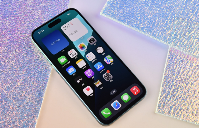两当苹果手机维修分享为什么大家不喜欢苹果iPhone 16 Plus 